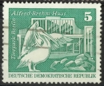 Stamps Germany -  DDR SCOTT_1430.03 PELICANO. ZOO DE BERLIN