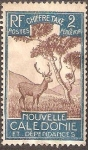 Stamps Oceania - New Caledonia -  Ciervo