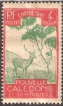 Stamps Oceania - New Caledonia -  Ciervo