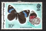 Stamps America - Belize -  Callicore Astala