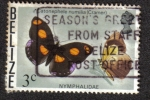 Stamps Belize -  Catonephele Numila