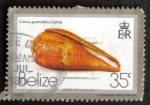 Stamps Belize -  Conus Granulatus Linne