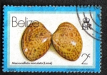 Stamps Belize -  Macrocallista Maculata