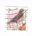 Stamps : Europe : Belgium :  Pájaro