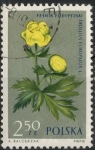 Stamps : Europe : Poland :  POLONIA SCOTT_1075 GLOBEFLOWER