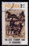 Sellos de Europa - Polonia -  2485 150º aniv caballo de Sierakow