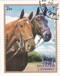 Stamps : Asia : United_Arab_Emirates :  SHARJAH- Caballos de Raza