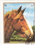 Stamps United Arab Emirates -  SHARJAH- Caballo de Raza