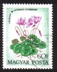 Sellos de Europa - Hungr�a -  Europaeum Cyclamen