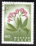 Stamps Hungary -  DENTARIA GLANDULOSA