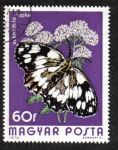 Stamps Hungary -  POLILLA DE TABLERO
