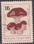 Stamps Bulgaria -  Hongos