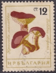 Stamps Bulgaria -  Hongos