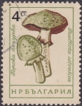 Stamps : Europe : Bulgaria :  Hongos