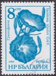 Stamps Bulgaria -  Flores