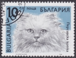Stamps Bulgaria -  Gato himalaya