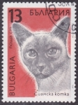 Stamps Bulgaria -  Gato siames