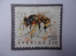 Stamps Sweden -  Suecia - Sverige-¨Abeja¨