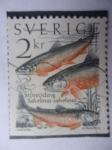 Stamps : Europe : Sweden :  Sorröding Salvelinus Salvelinus