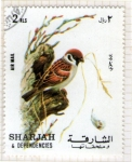 Sellos de Asia - Emiratos rabes Unidos -  17  SHARJAH