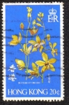 Stamps Hong Kong -  Orquidea Boton de Oro