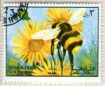 Stamps United Arab Emirates -  57  SHARJAH