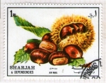 Stamps : Asia : United_Arab_Emirates :  97  SHARJAH