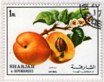 Stamps United Arab Emirates -  98  SHARJAH