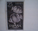 Stamps Spain -  timbre