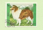 Stamps : Asia : United_Arab_Emirates :  SHARJAH - Perros de raza