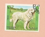 Sellos de Asia - Emiratos �rabes Unidos -  SHARJAH - Perros de raza