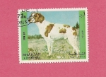 Stamps : Asia : United_Arab_Emirates :  SHARJAH - Perros de raza