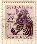 Stamps : Africa : South_Africa :  3 Cebra