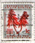 Stamps South Africa -  kafferboom