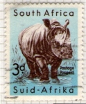 Stamps : Africa : South_Africa :  7 Rinoceronte