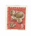 Stamps Switzerland -  Pro-Juventud