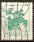 Sellos del Mundo : Europa : Polonia : Dibujos de S. Wyspianski.(Diente de león).