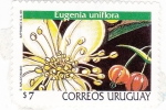 Stamps : America : Uruguay :  Eugenia Uniflora