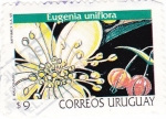 Stamps Uruguay -  Eugenia Uniflora