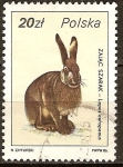 Stamps Poland -  Liebre-Lepus europaeus.