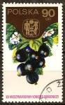 Stamps Poland -  19 º Congreso Internacional de Horticultura, Varsovia. 