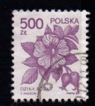 Sellos de Europa - Polonia -  Flores