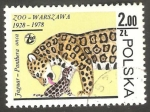 Sellos de Europa - Polonia -  2417 - Zoo de Varsovia, jaguar