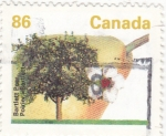 Stamps Canada -  Arbol frutal- peral