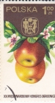 Stamps Poland -  2170 - Fruta manzanas