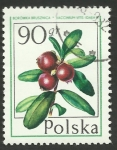 Sellos de Europa - Polonia -  2317 - Fruta del bosque, vaccinium vitis idaea