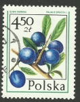 Stamps Poland -  2321 - Fruta del bosque, prunus spinosa