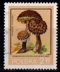 Sellos de Europa - Polonia -  2512 - Champiñón strobilomyces floccopus
