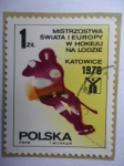 Stamps : Europe : Poland :  Mundial de Hockey sobre Hielo 1976 en Katowice-Polonia.
