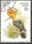 Stamps Hungary -  UPUPA  EPOPS